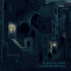 Wrong Life - What's Left of the Bodies We Grew Up In LP